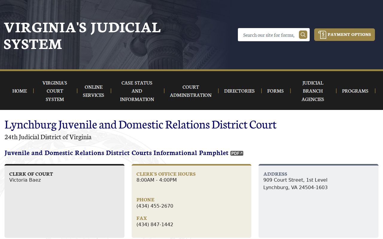 Lynchburg juvenile court criminal record access information